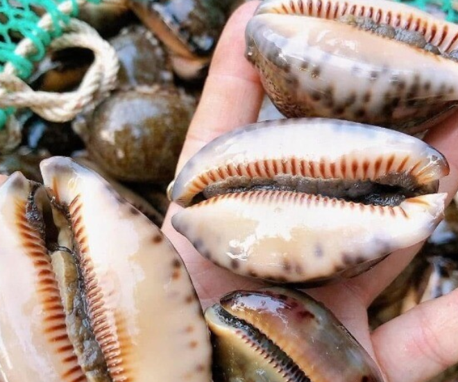 Đặc sản nghe tên "ngượng đỏ mặt", xưa không ai ngó ngàng nay dân thành phố ưa chuộng vì hương vị đặc biệt, 150.000 đồng/kg - 1