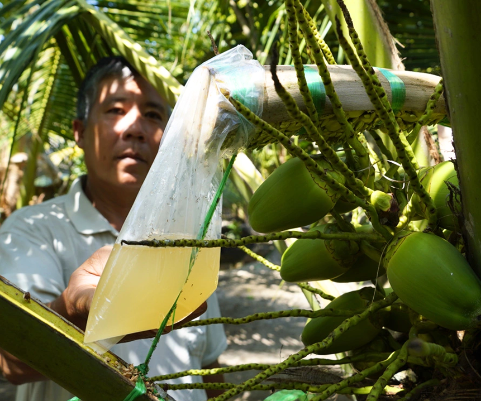 Nghề lạ ở Việt Nam: Mỗi ngày dùng tay vuốt ve một thứ tạo ra mật ngọt, trở thành đặc sản vạn người mê - 1