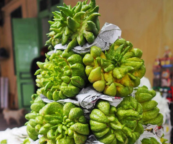 Nông dân đổi đời nhờ loại quả lạ được săn đón ngày Tết: Tới mùa là cháy hàng, giá đến 500.000 đồng/kg - 1