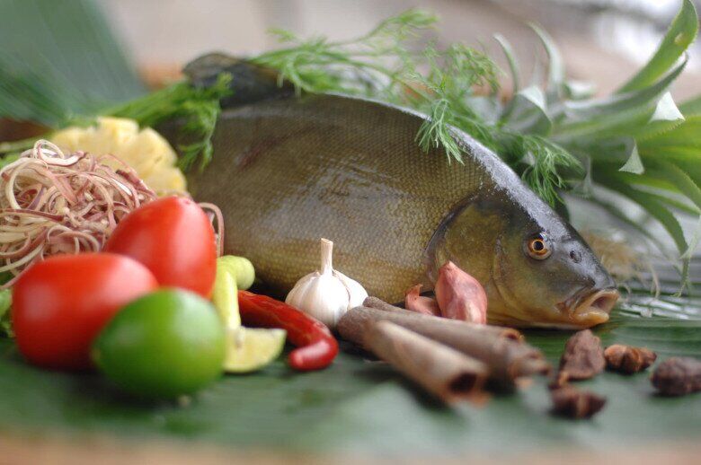 Loại cá chẳng tanh mà có mùi lạ, nghe tên đã thấy “thơm”, ngon chẳng kém cá hồi giá 200.000 đồng/kg, tốt cho sức khỏe - 2