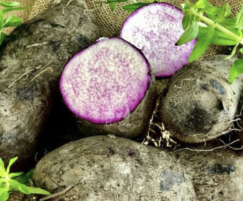 Loại củ xưa không ai biết nay thành đặc được ưa chuộng, nấu nhiều món ngon tốt cho sức khỏe, giá 35.000 đồng/kg - 1