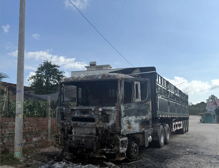 Tin tức 24h: Miền Bắc chuyển mưa phùn kèm rét ngày mùng 1 Tết - 4