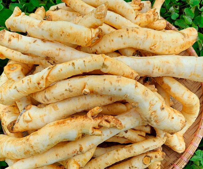 Thứ xưa không ai ngó ngàng nay thành đặc sản khoái khẩu 550.000 đồng/kg, được ưa chuộng dịp Tết Nguyên đán - 1