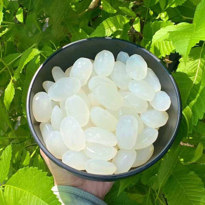 Loại hạt xưa rụng đầy gốc nay thành đặc sản lạ giá 150.000 đ/kg, trồng bạt ngàn ở Việt Nam, tốt cho sức khoẻ - 2