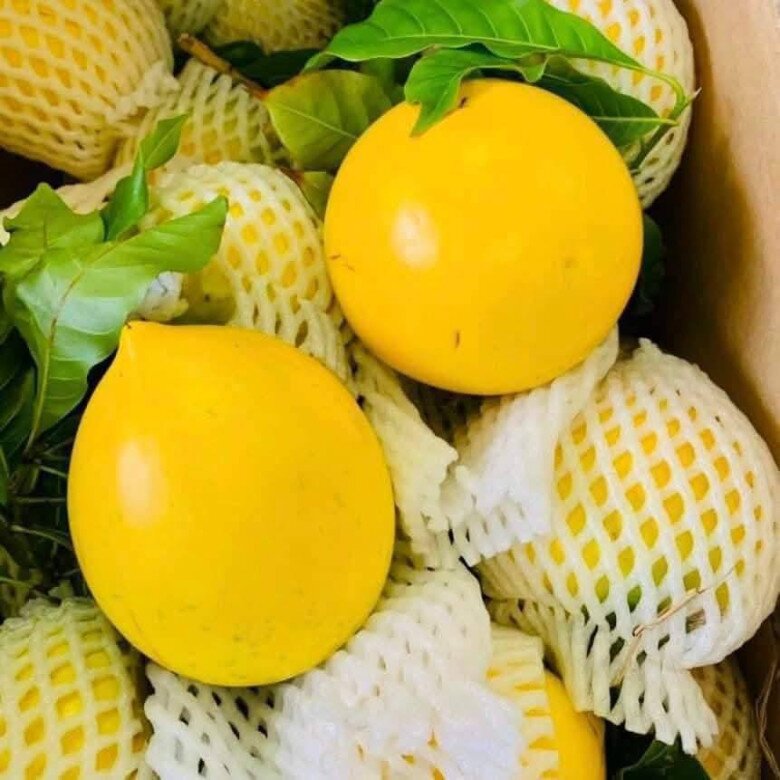 Đặc sản có tên "ngượng đỏ mặt", xưa không ai biết nay được ưa chuộng dịp Tết giá 80.000 đ/kg, thu hoạch quanh năm - 3