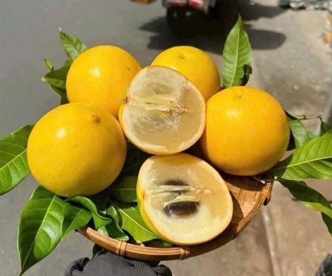 Đặc sản có tên "ngượng đỏ mặt", xưa không ai biết nay được ưa chuộng dịp Tết giá 80.000 đ/kg, thu hoạch quanh năm - 1