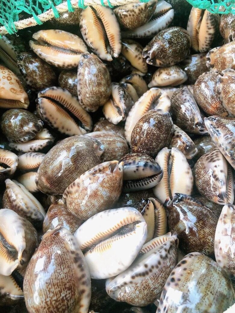 Đặc sản nghe tên "ngượng đỏ mặt" chỉ có ở miền Trung, xưa không ai ăn nay thành món khoái khẩu được ưa chuộng, 150.000 đồng/kg - 4