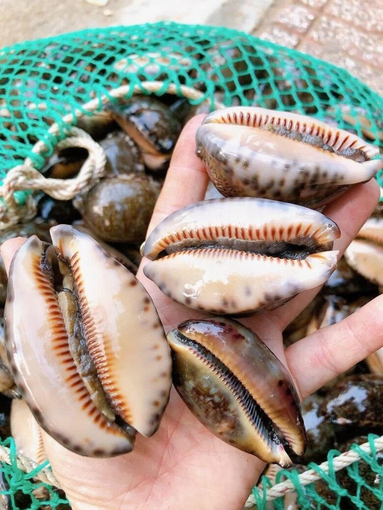 Đặc sản nghe tên "ngượng đỏ mặt" chỉ có ở miền Trung, xưa không ai ăn nay thành món khoái khẩu được ưa chuộng, 150.000 đồng/kg - 2