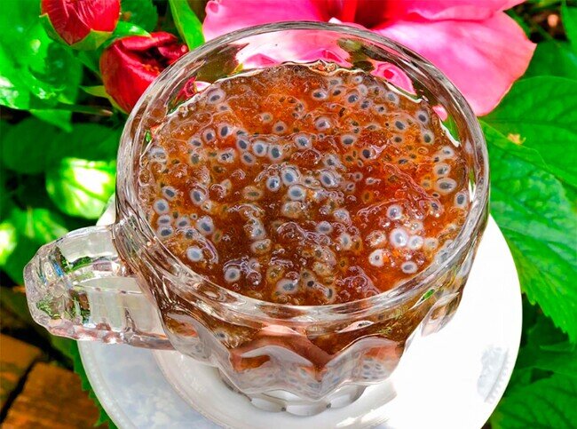 Loại hạt xưa rụng đầy gốc không ai ăn, giờ thành đặc sản giá 300.000 đồng/kg, có bạt ngàn ở Việt Nam thu hoạch nhiều năm - 3