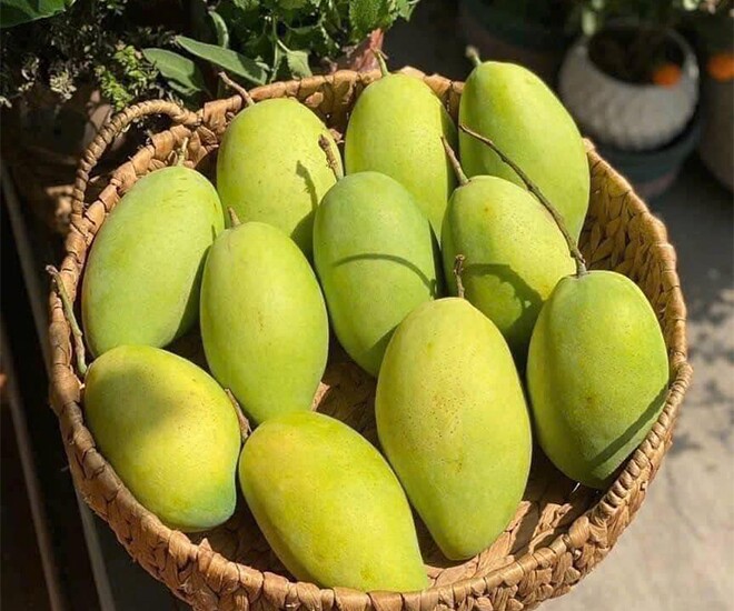 Loại quả "tốt nhất thế giới" chỉ có ở Đồng Tháp, thành đặc sản đắt khách dịp Tết, trồng một lần thu hoạch nhiều năm - 1