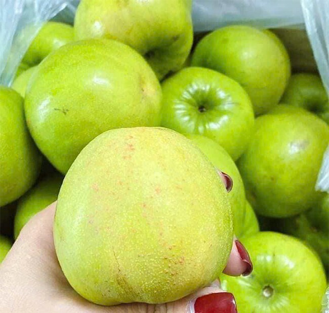 Loại quả “tốt nhất thế giới” chỉ có ở Khánh Hoà, thành đặc sản nổi tiếng hút khách dịp Tết, tốt cho sức khoẻ - 3