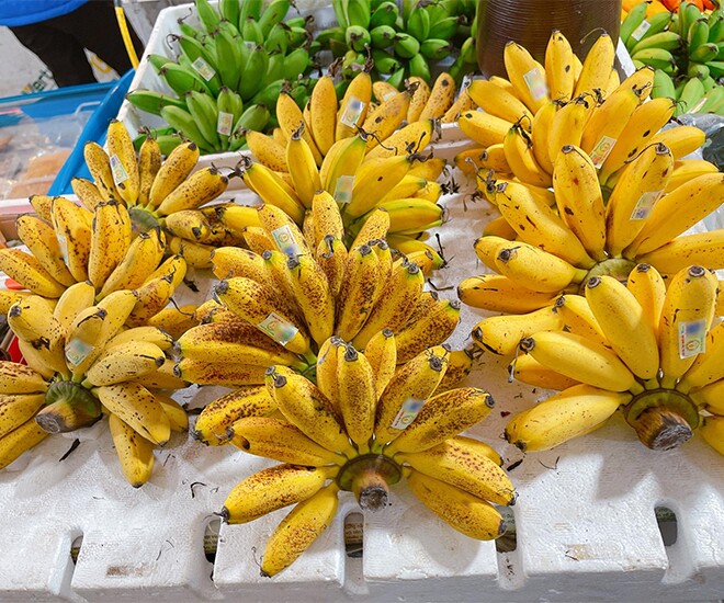 Loại quả "tốt nhất thế giới" chỉ có ở Ninh Bình, trồng 9 tháng cho thu hoạch, thành đặc sản hút khách dịp Tết giá 80.000 đ/kg - 1