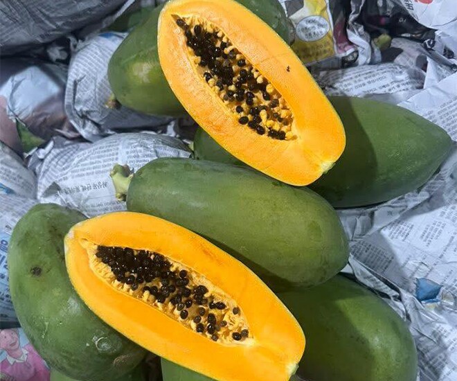 Loại quả "tốt nhất thế giới" chỉ có ở Tây Ninh, trồng 6 tháng cho thu hoạch, thành đặc sản Tết được ưa chuộng - 1