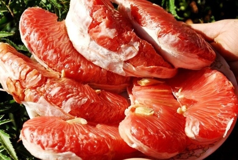 Loại quả "tốt nhất thế giới" chỉ có ở Thanh Hoá, trồng một lần thu hoạch nhiều năm, thành đặc sản được ưa chuộng dịp Tết - 3