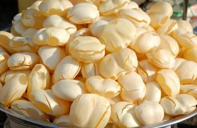 Loại quả xưa rụng đầy không ai ngó ngàng, nay thành đặc sản Tết 200.000 đồng/kg, trồng một lần thu hoạch nhiều năm - 2