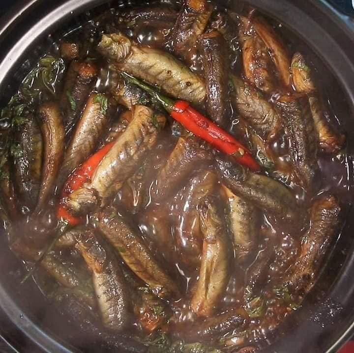 Đặc sản chỉ có ở Ninh Bình chui lên từ bùn đất, xưa không ai ngó ngàng nay dân thành phố ưa chuộng, 200.000 đồng/kg - 4