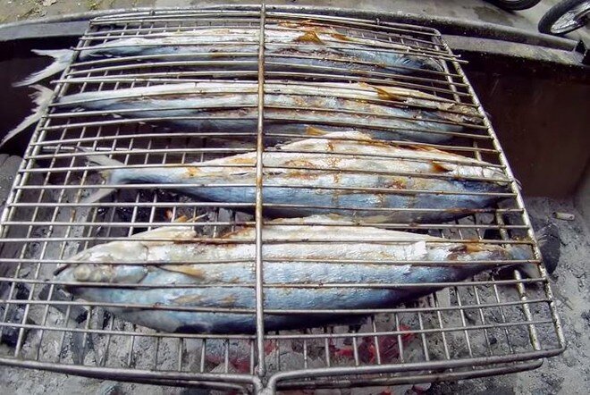 Loại cá xưa có đầy giờ trở thành đặc sản nổi tiếng Quảng Trị, dân sành ăn thi nhau "săn lùng", giá 140.000 đ/kg - 2