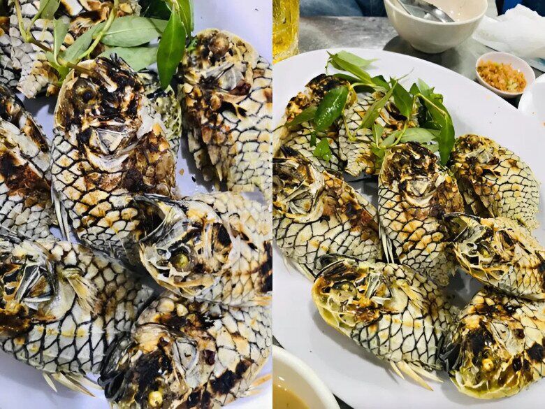 Loài cá tên giống một loại trái cây, được "săn lùng" vì thịt thơm ngon, giá 500.000 đồng/kg - 3