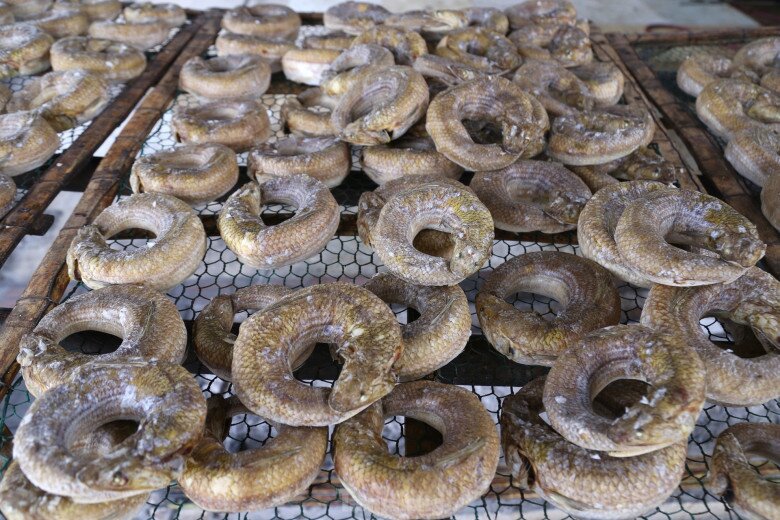 Loại cá có tên lạ "uốn tròn" bày lên mâm cúng, là đặc sản được ưa chuộng dịp Tết Nguyên đán, 180.000 đồng/kg - 2