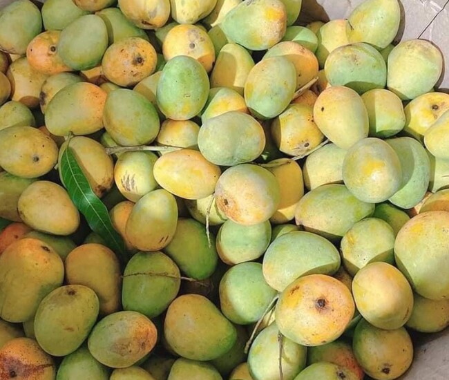 Loài quả xưa không ai biết đến, nay thành đặc sản dân thành phố thích mê, hương vị đặc biệt - 1