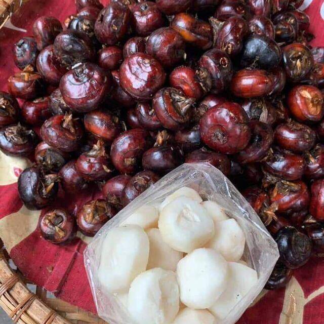 "Lộc trời" mọc dưới bùn xưa chẳng ai ăn, nay thành đặc sản dân thành phố lùng mua, giá đến 80.000 đồng/kg - 2