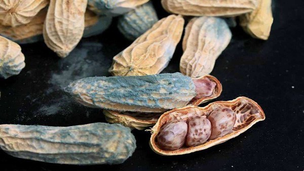 Những món khiến tế bào ung thư sinh sôi, người Nhật, Hàn mắc ung thư dạ dày nhiều vì món này, người Việt ăn nhiều chẳng kém - 2