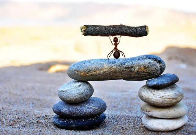 Sự khôn ngoan lớn nhất trong cuộc sống là nhận ra chính mình - 1