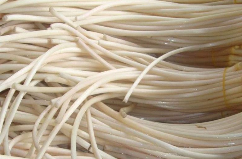 Đặc sản xưa tưởng không ăn được, không ngờ có thể chế biến nhiều món ngon nổi tiếng, giá 150.000 đồng/kg - 2