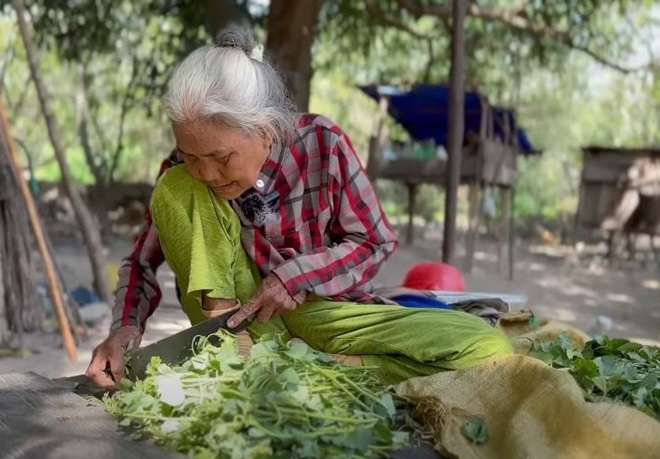 Cụ bà 100 tuổi khỏe như gái đôi mươi, sống một mình trong rừng cùng lợn gà chó mèo và chỉ ăn rau quả, đu đủ - 5