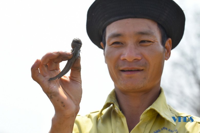 Loại cá có tên rất lạ, xưa chỉ &#34;nhà nghèo&#34; mới ăn nay thành đặc sản ngon nổi tiếng Thanh Hóa, 200.000 đồng/kg - 2