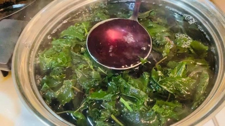 Nước lá tía tô có tác dụng gì? Tăng cường miễn dịch, giảm mỡ máu và những lợi ích ít biết của nước lá tía tô - 3