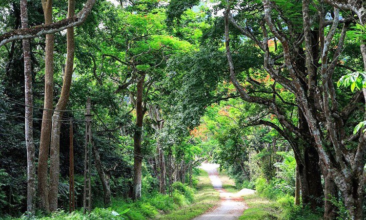 Khám phá vẻ đẹp thiên nhiên và văn hóa tại Ninh Bình - Hành trình đầy trải nghiệm! - 5
