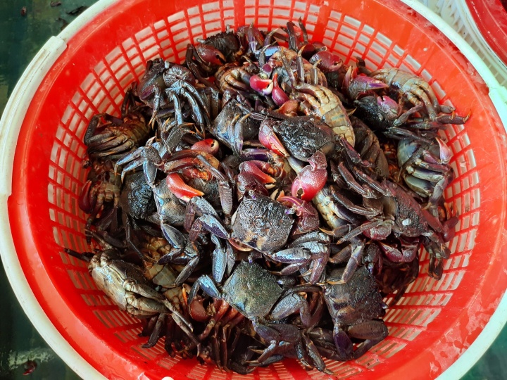 7 đặc sản Cà Mau nhắc là thèm, hương vị độc đáo hiếm nơi nào có - 6