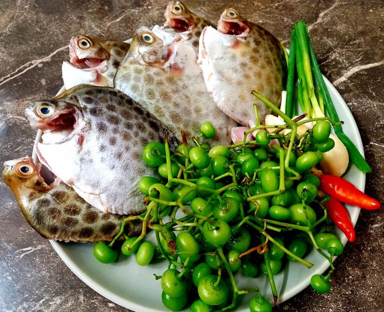 Loại cá đặc sản nổi tiếng Kiên Giang, xưa không ai ăn, nay vừa ngon ngọt vừa bổ dưỡng dân thành phố ưa chuộng, 260.000 đồng/kg - 2