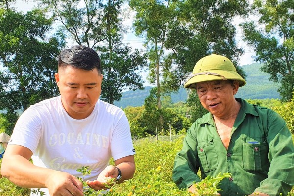 Nghề lạ ở Việt Nam: Mang loại quả lạ về trồng thử trong vườn, quả chín bán đắt như vàng, thu 300 triệu đồng/năm - 3