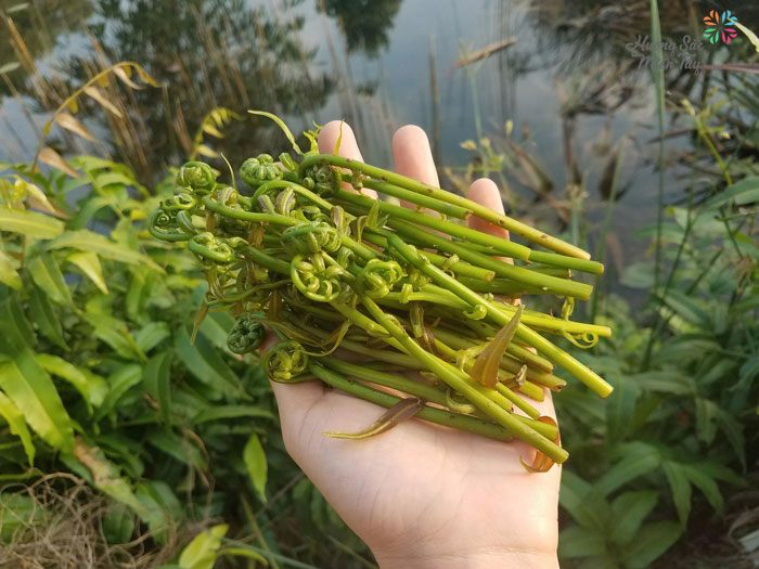 5 đặc sản Hậu Giang ai cũng mua làm quà, có món xưa là cây dại mọc hoang nay nhiều người lùng mua - 4