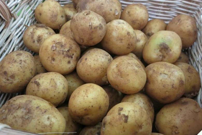 Cách nấu bò kho đơn giản, ngon mềm, không cần gói gia vị vẫn thơm nức mũi - 4