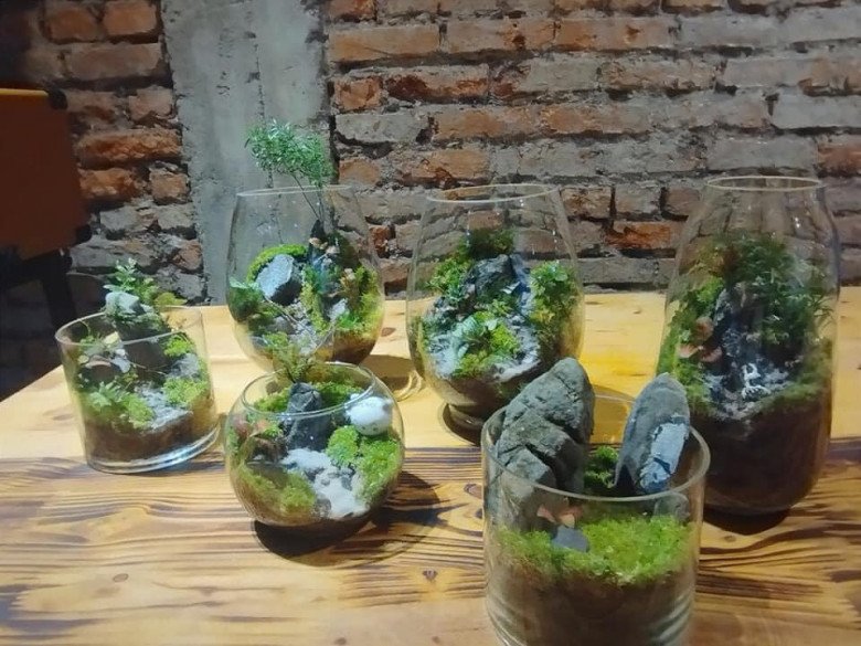 Trở thành &#34;nông dân sành điệu&#34; với thú chơi terrarium: Chỉ từ 200.000 đồng có ngay cây không khí cực xinh - 2