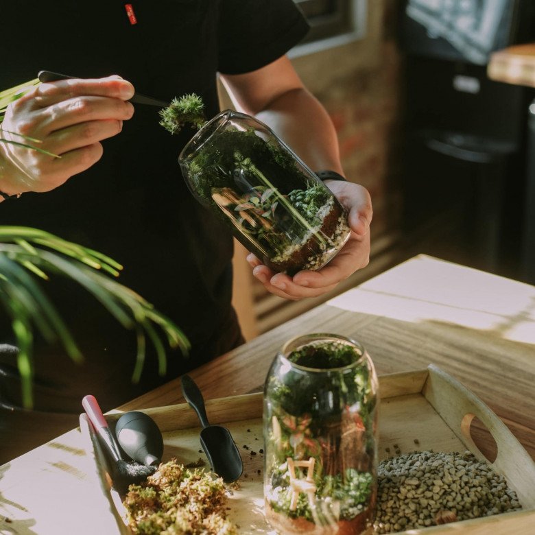Trở thành &#34;nông dân sành điệu&#34; với thú chơi terrarium: Chỉ từ 200.000 đồng có ngay cây không khí cực xinh - 4