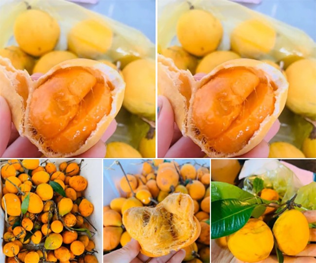 Loại quả xưa có đầy không ai bán, giờ thành đặc sản được dân thành phố &#34;ưa chuộng&#34;, 150.000 đồng/kg - 1