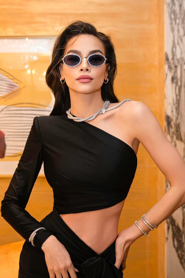 Hà Hồ đeo trang sức trăm tỷ và câu chuyện phía sau việc mượn đồ đi sự kiện của người nổi tiếng - 1