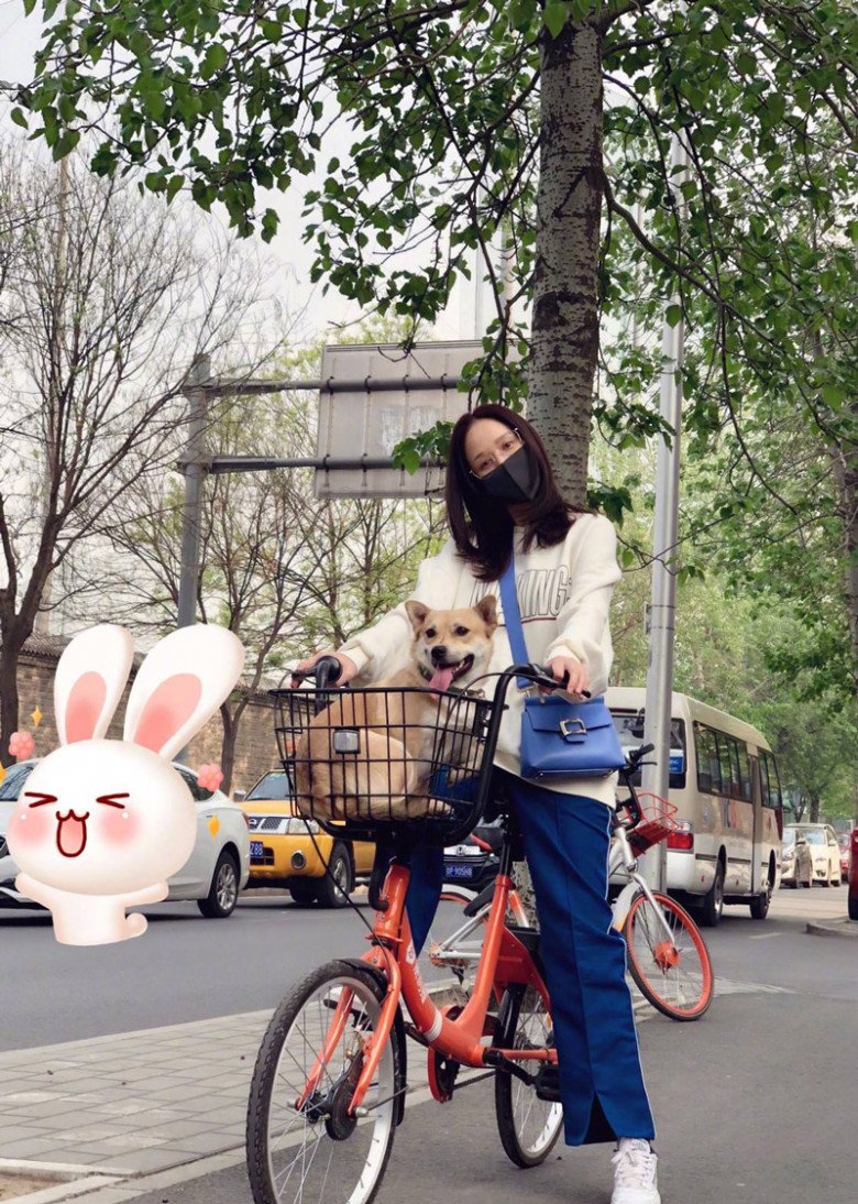 &#34;Quốc bảo nhan sắc&#34; châu Á từng kiếm 600 tỷ/năm, tuổi 45 tụt dốc phong độ gây hoang mang - 10