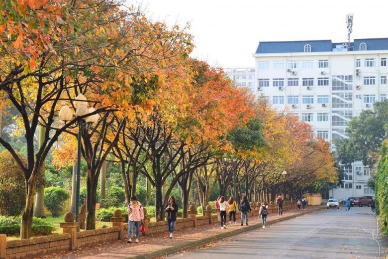 Ở Hà Nội có 6 trường đại học được ví như studio, chỉ cần cầm máy lên là tha hồ được ảnh đẹp - 4