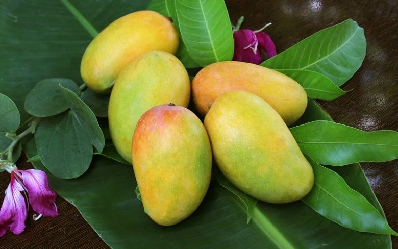 Sai lầm ăn uống của phú bà Đào Hỷ Nhi, dù &#34;mưa không đến mặt, nắng không đến đầu&#34; da vẫn sạm đen - 7