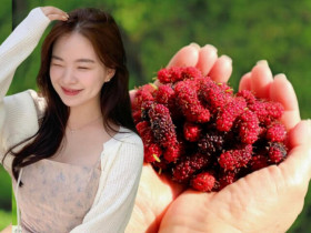 Loại quả mệnh danh “dân gian thánh quả”, chị em Việt đem làm nước uống dưỡng da trắng hồng hào như đi spa, tiến sĩ Mỹ cũng ca ngợi
