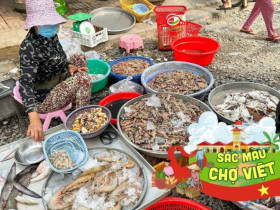 Người sành ăn mới biết khu chợ hải sản rẻ nhất Vũng Tàu này, tồn tại hơn 40 năm vẫn là "thiên đường ẩm thực"