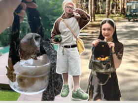 Loạt sao Việt gây trầm trồ vì xách túi hiệu chỉ để đựng trái cây, có chiếc lên đến cả trăm triệu