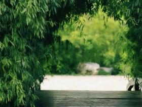 Cuộc sống một người có tốt hay không, nhìn 2 chữ này là rõ