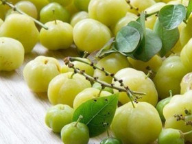 Loại quả mọc bờ rào xưa không ai ngó ngàng, nay thành đặc sản dân thành phố "săn lùng" vì hương vị đặc biệt, 100.000 đồng/kg