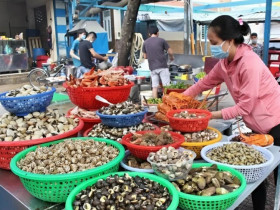 Cầm 200k “ăn sập” thiên đường ốc Sài Gòn, quán lớn quán nhỏ món gì cũng có, chỗ nào cũng đông nghẹt 